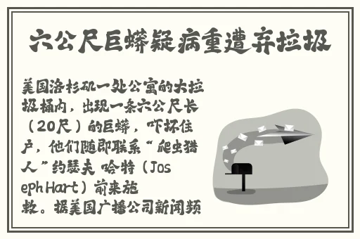 天天躁日日躁成人AⅤ